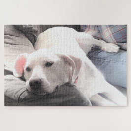 Quebra-cabeça Foto de Cachorro Branco Cachorro Cansado Cachorro 