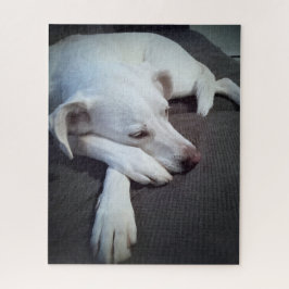 Quebra-cabeça Foto de Cachorro Branco Dormindo com patas brancas