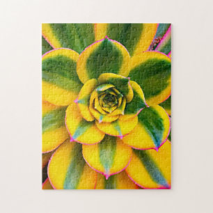 Quebra-cabeça Foto de Cactus Cor-de-Rosa Verde Belo Fechar