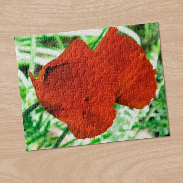 Quebra-cabeça Foto de Flor de Duas Poppies Orientais (Two Oriental Poppies Flower Photo Jigsaw Puzzle, in situ)