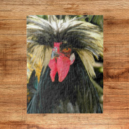 Quebra-cabeça Foto de frango de cabelo ruim