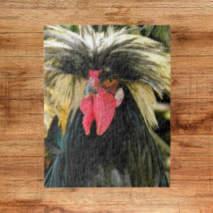 Quebra-cabeça Foto de frango de cabelo ruim