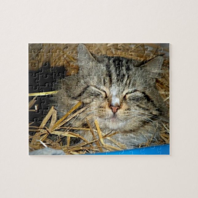 Quebra-cabeça Foto de gatinho dormindo  (Horizontal)