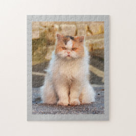 Quebra-cabeça Foto de gato bonito personalizada