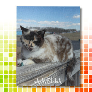 Quebra-cabeça Foto de Gato de Estimação, Noite em Família, Perso