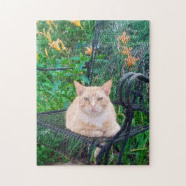 Quebra-cabeça Foto de Gato Listrado Laranja Sentado na Cadeira