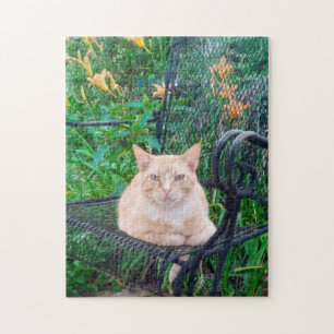 Quebra-cabeça Foto de Gato Listrado Laranja Sentado na Cadeira