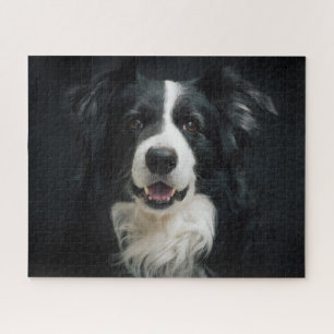 Quebra-cabeça Foto de lindo cão Border Collie preto e branco