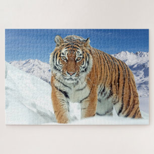 Quebra-cabeça Foto de Natureza Animal das Montanhas Tigre de Nev