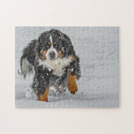 Quebra-cabeça Foto de Neve do Cachorro da Montanha Bernese