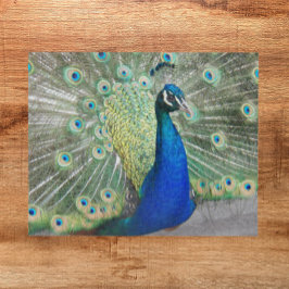 Quebra-cabeça Foto de Penas de Feedura de Peacock Azul