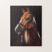 Foto de Retrato de Cavalo de Pintura Castanho Boni