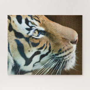 Quebra-cabeça Foto De Rosto Tiger Linda