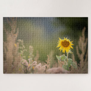 Quebra-cabeça Foto de Sunflower Nature