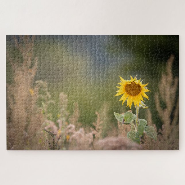 Quebra-cabeça Foto de Sunflower Nature (Horizontal)
