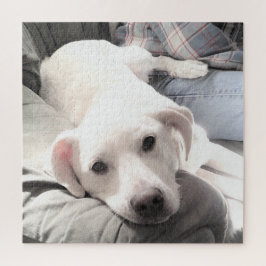 Quebra-cabeça Foto de um Cão Cansado e Bonito com Pai na Praça d