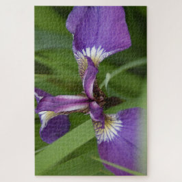 Quebra-cabeça Foto de uma linda flor de íris púrpura