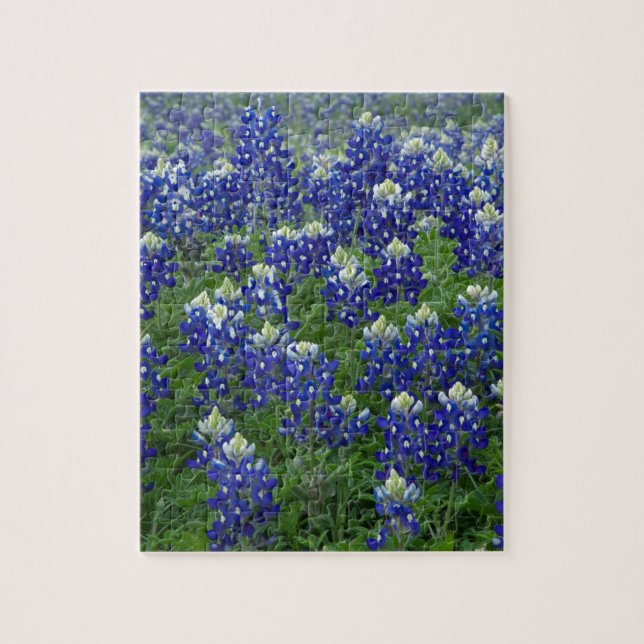 Quebra-cabeça Foto do campo dos Bluebonnets de Texas (Vertical)