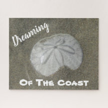 Foto do Dólar de Areia Molhada Praia Natureza Cost