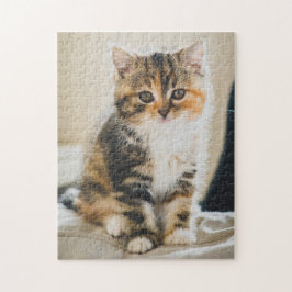 Quebra-cabeça Foto do gato Gato Calico Tabby Kitten, Felpudo bon