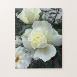 Quebra-cabeça Foto do Jardim Rosa Branco