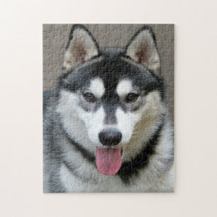 Quebra-cabeça Foto do rosto do cão Malamute no Alasca