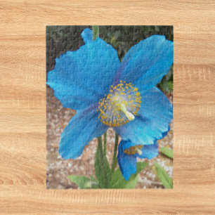 Quebra-cabeça Foto floral da papoila azul