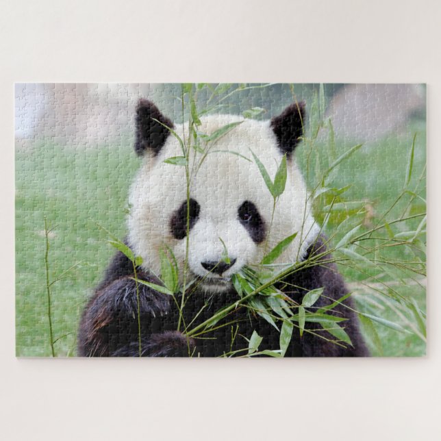 quebra-cabeça Foto gigante panda, animais 0341. (Horizontal)