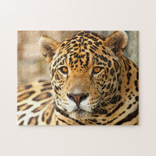 Quebra-cabeça Foto Jaguar