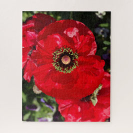 Quebra-cabeça Foto Moderna Elegante Flor Vermelho da Califórnia