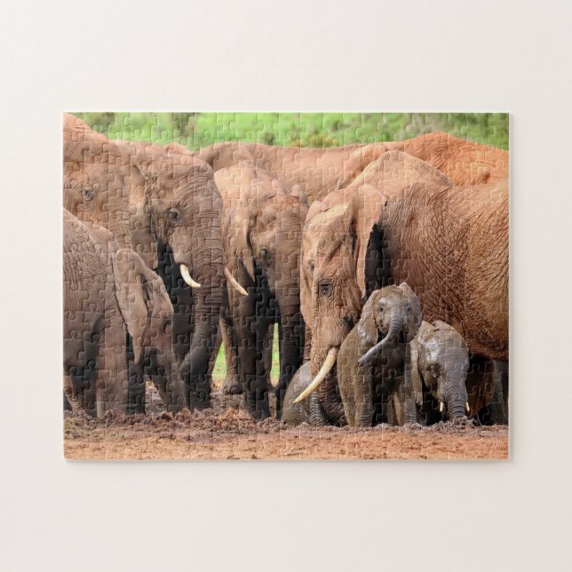 Quebra-cabeça Foto personalizada da família Elphants (Horizontal)