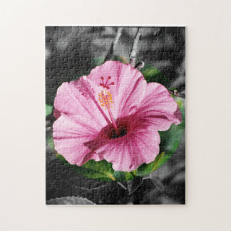 Quebra-cabeça Foto rosa de Hibiscus