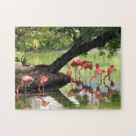 Quebra-cabeça Foto rosa Flamingo Flock Wildlife