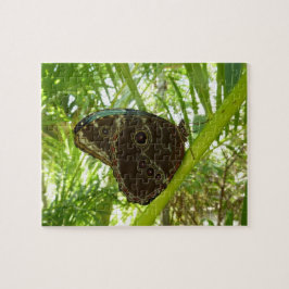 Quebra-cabeça Fotografia da Borboleta Azul Morpho na Natureza