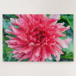 Quebra-cabeça Fotografia da Flor Canadiana Rosa Dahlia