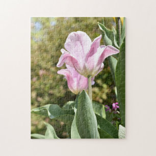 Quebra-cabeça Fotografia da Flor das Tulipas Rosa London Reino U