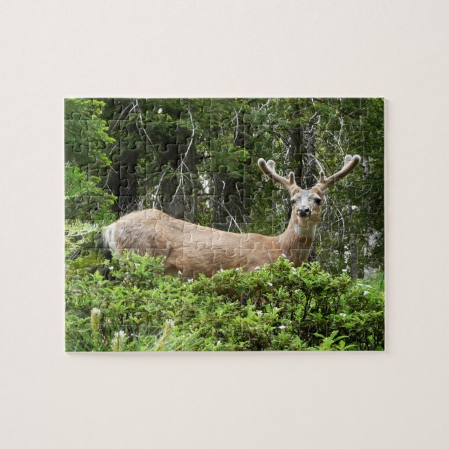 Quebra-cabeça Fotografia da Natureza de Cervos em Yosemite (Horizontal)