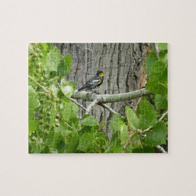 Quebra-cabeça Fotografia da Natureza do Pássaro-de-rump-amarelo- (Horizontal)