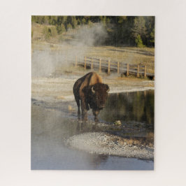 Quebra-cabeça Fotografia da vida selvagem Bison Yellowstone