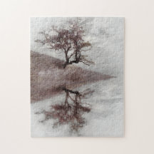 Fotografia das belas artes da árvore