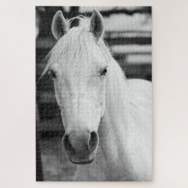 Quebra-cabeça Fotografia de Cavalo Negro e Branco