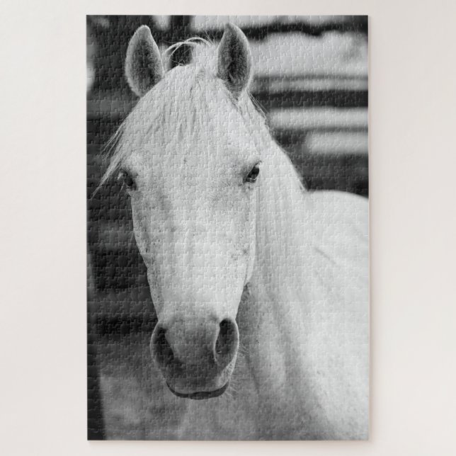 Quebra-cabeça Fotografia de Cavalo Negro e Branco (Vertical)