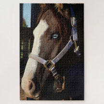 Fotografia de Cavalo Rústico Puzzle - Foto Origina