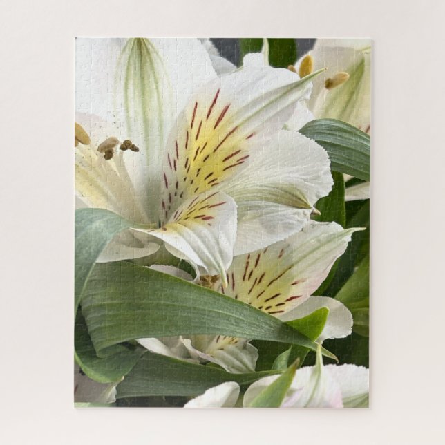 Quebra-cabeça Fotografia de Cêmeras Brancas de Alstroemeria em C (Vertical)