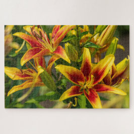 Quebra-cabeça Fotografia de Flor Canadiana Laranja Daylily