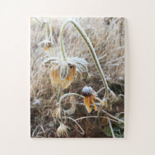 Quebra-cabeça Fotografia de Flores Rudbeckia Desenterradas