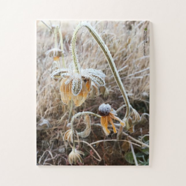 Quebra-cabeça Fotografia de Flores Rudbeckia Selvagens de Frost (Vertical)