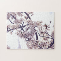Fotografia de Primavera de árvore branca de ameixa