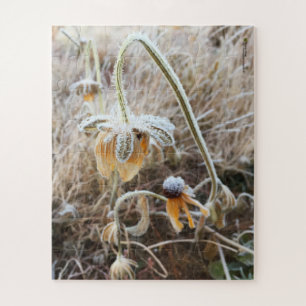 Quebra-cabeça Fotografia de Rudbeckia Blooms, Frost de inverno