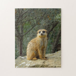 Quebra-cabeça Fotografia de Sessão de Meerkat Cute
